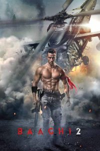 Baaghi 2 (2018) Hindi AMZN WEB-DL– 480P 720P 1080P–DDP5.1